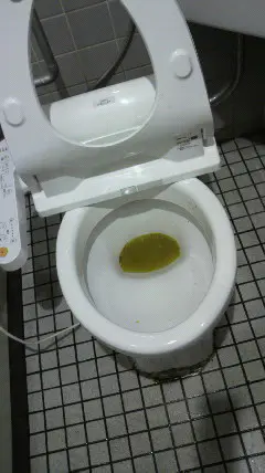 札幌市東区のトイレつまり