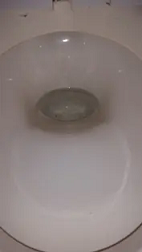 トイレ詰り修理