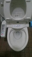 トイレの排水がおかしく流れにくくなった