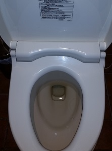 トイレにうっかり生理用品を流してしまった